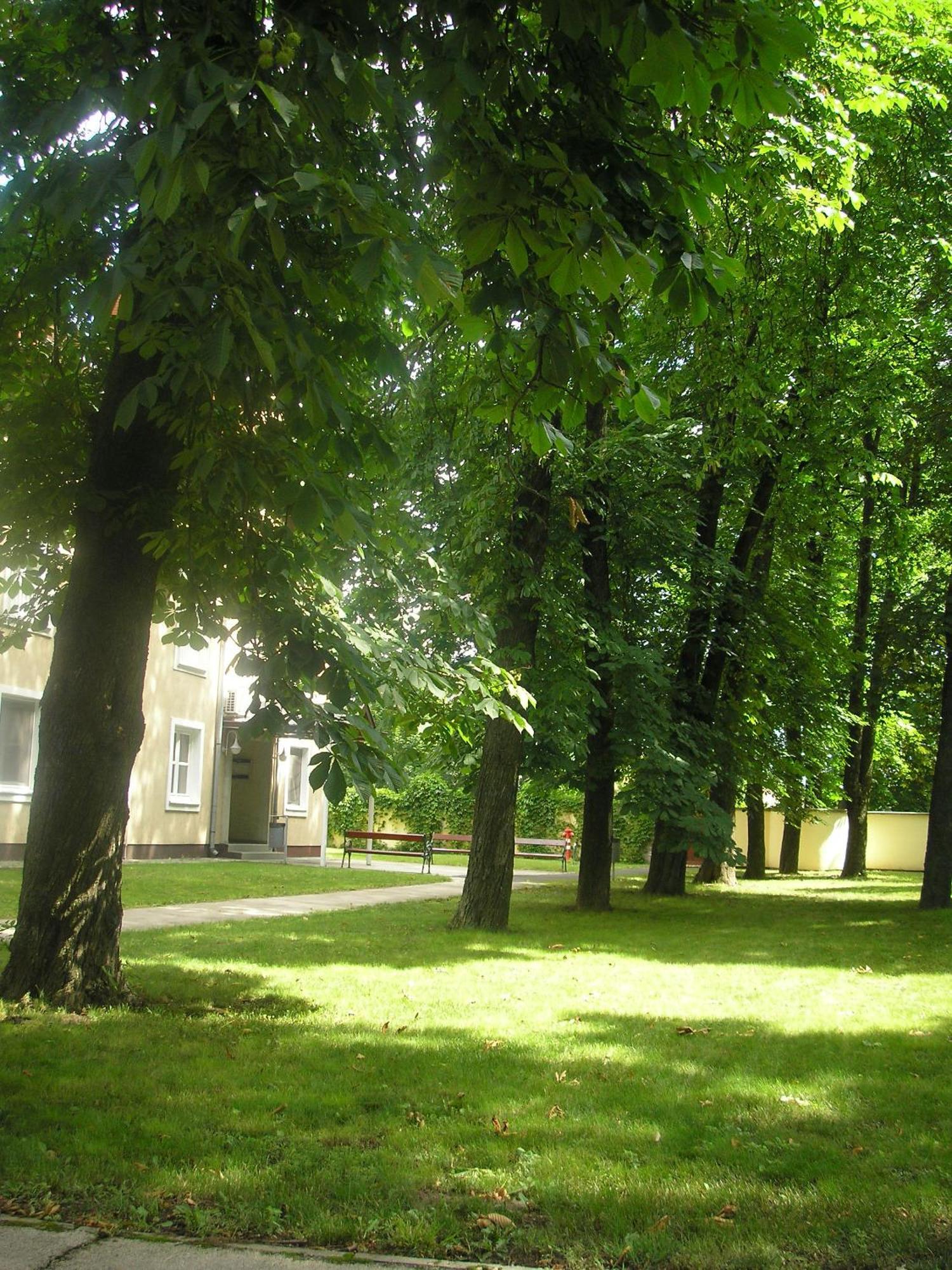Hotel Thelena Tolna Bagian luar foto